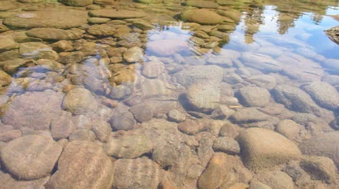 River Minnows Time Lapse Stock Footage 24671334