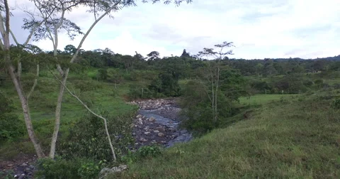 A River in Miraflores Stock-Footage 61339017