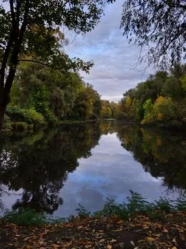 River with mirror reflection of trees Stock Photos