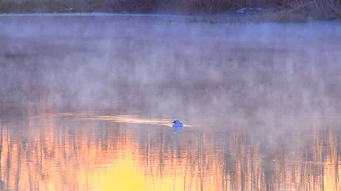 River Mist and Miko Aisa Vídeo Stock 333141822
