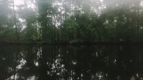 River Mist Stock Footage 116263368
