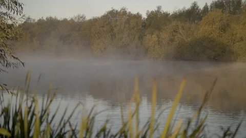 River with mist rising from it with out of focus reeds in the foreground Stock Footage 140402530