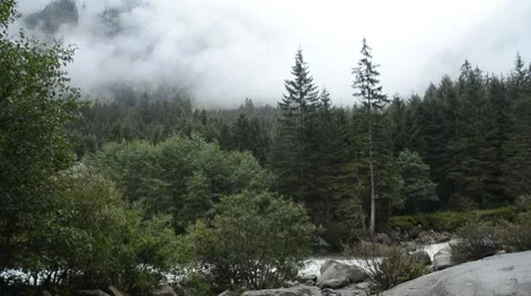 River in misty Austrian forest Stock Footage 8666142