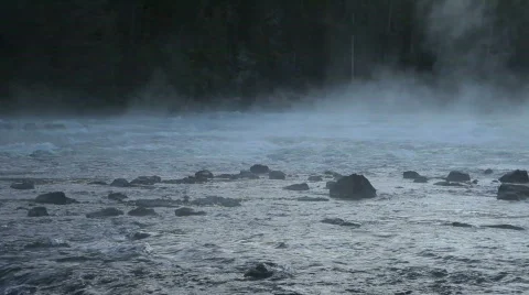River misty forest P HD 2538 Stock Footage 531676