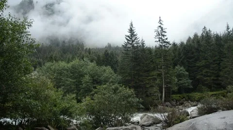 River in misty forest timelapse Stock Footage 8666243