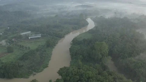 River on misty morning at West Java Stock Footage 219609373