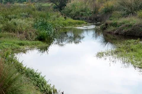 River mogent Foto stock