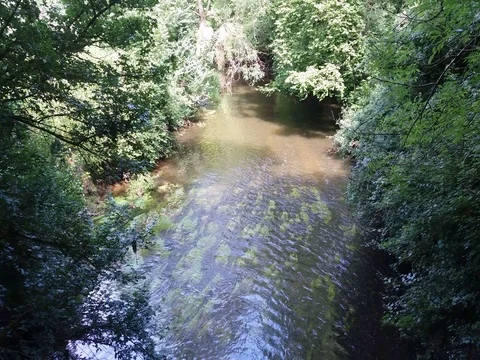 River Mole at the foot of Box Hill Video stock 77072073