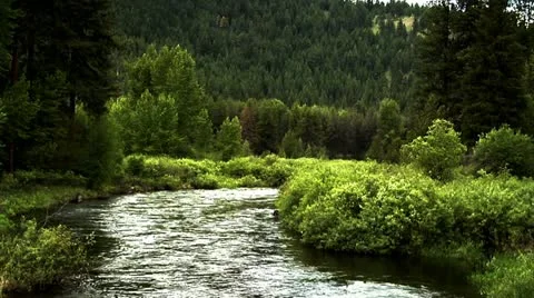 River in Montana 2 Stock Footage 10887558