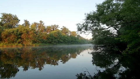 River in the morning Stock Footage 97998207