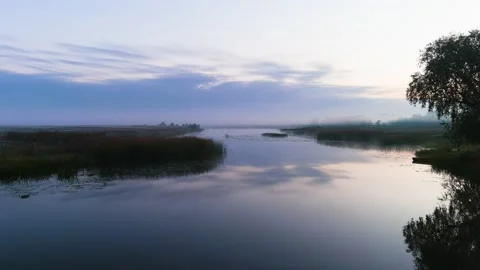 By the River in the Morning 스톡 동영상 219701140