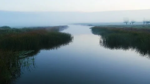 By the River in the Morning 스톡 동영상 219727518