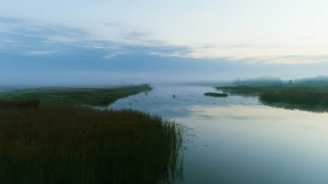By the River in the Morning 스톡 동영상 219758300