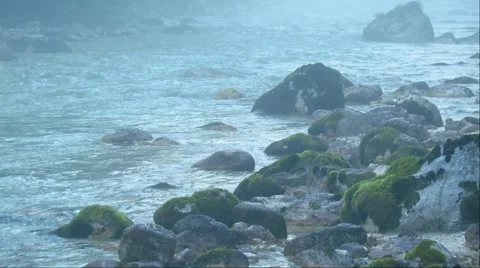 River in morning mist Stock Footage 59099147