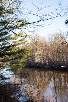 River morning Stock Photos