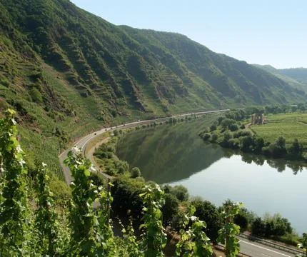 River moselle Stock Photos