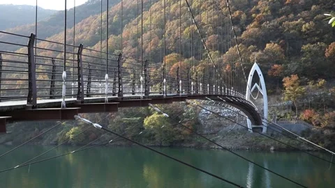 River with mountain and bridge, handheld shot 動画素材 303031506