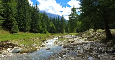 River in mountain and green forest Stock Footage 103530561