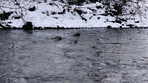 River in the Mountain Area Stock Footage 103838448