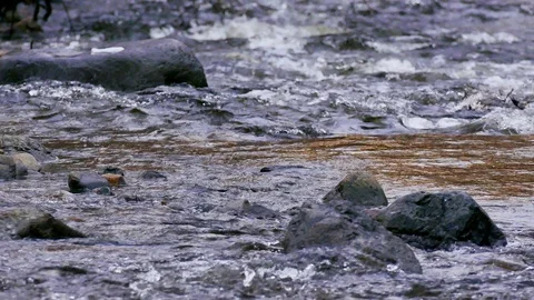 River in the Mountain Area Stock Footage 103842510