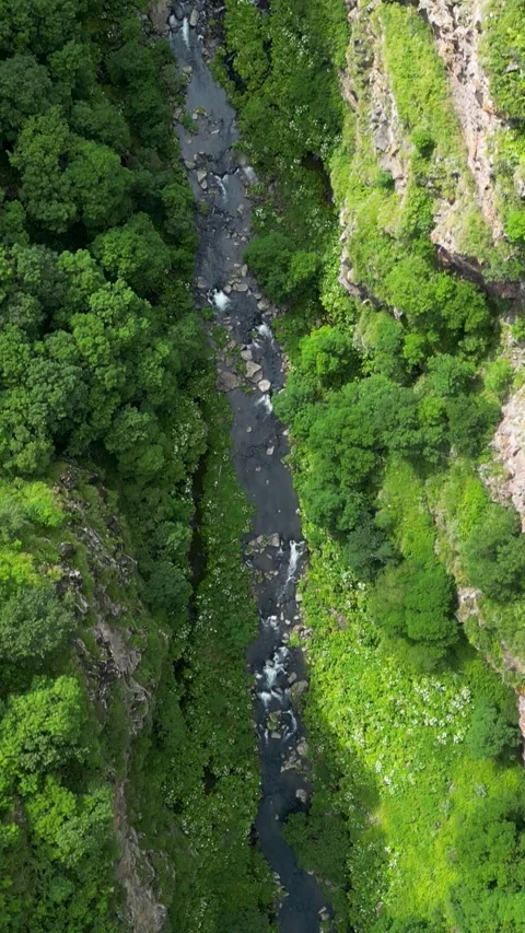 River in a Mountain Canyon Stock Footage 339711619