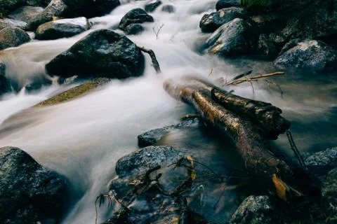 River of mountain crossing a forest. Stock Photos