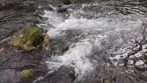 River in mountain 스톡 동영상 96821783