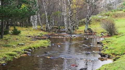 River on the mountain Stock Footage 266682164