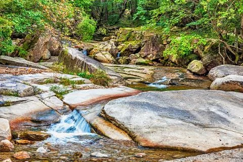 River in mountain forest in Korea Stock Photos