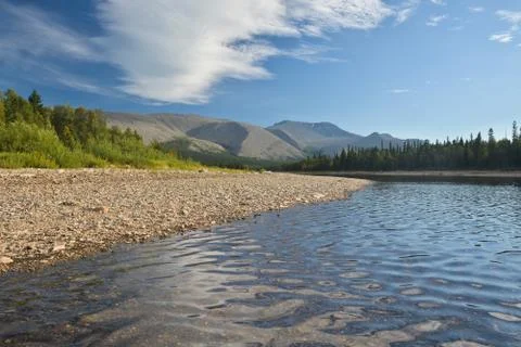River in mountain forest. Stock Photos