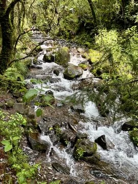 River in the mountain forest Stock Photos