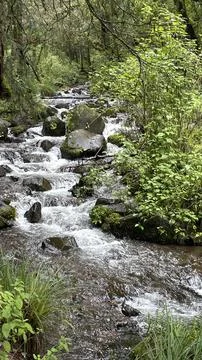 River in the mountain forest Stock Photos