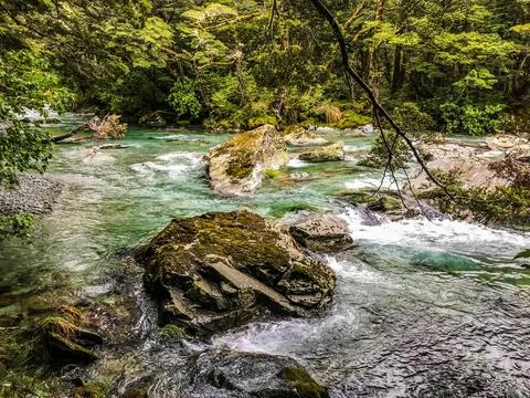 River in the mountain forest Foto stock