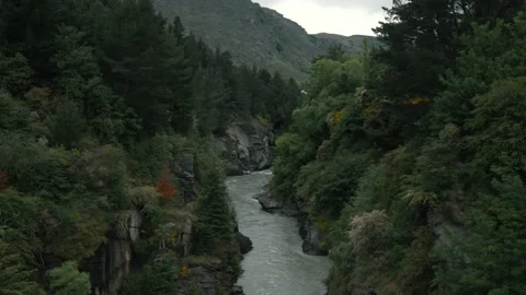 River in mountain forest trees Video stock 140611100