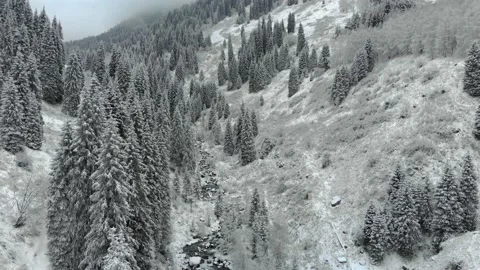 River in a mountain gorge in winter Stock Footage 143998531