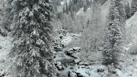 River in a mountain gorge in winter Stock Footage 143998876