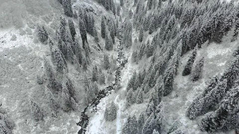 River in a mountain gorge in winter Stock Footage 143999262