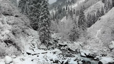 River in a mountain gorge in winter Stock Footage 148211776