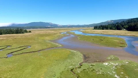 River mountain marsh Stock Footage 81795129