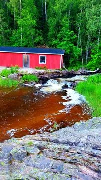 River in the mountain Fotos de archivo