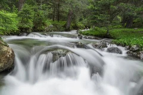 River in the mountain in spring Foto stock
