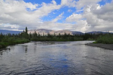 River in mountain taiga. Stock Photos