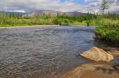 River in mountain taiga. Stock Photos