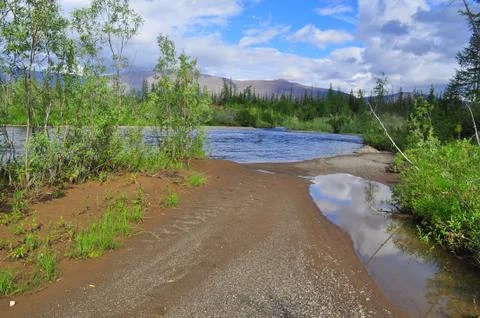River in mountain taiga. Stock Photos