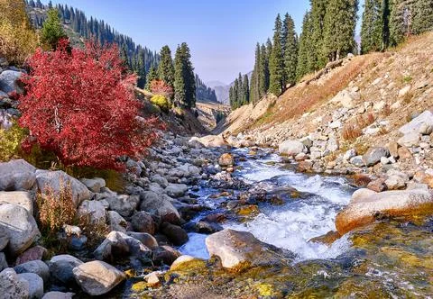 River Mountain Valley Autumn Stock Photos