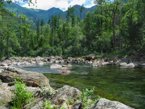 River in mountain wood environment Stock Photos