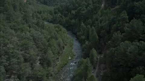 River, Mountains And Forest Landscape In Cuenca, Spain Stock Footage 231336172