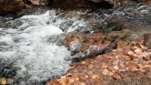 River in the mountains in autumn Stock Footage 253418090