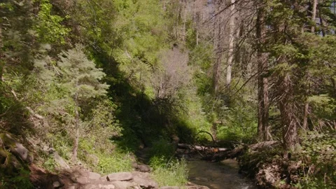 River in the Mountains with Clean water Stock Footage 204880509
