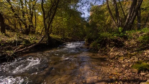 The river in the mountains with clear water flows through the autumn forest Stock Footage 97136649